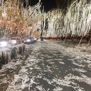 Meet your Posher, Carley